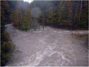 Rensselaerville creek Oct 01 2010 