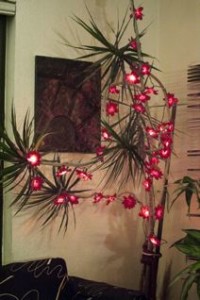 XmasLights-on-plant_hanson_2